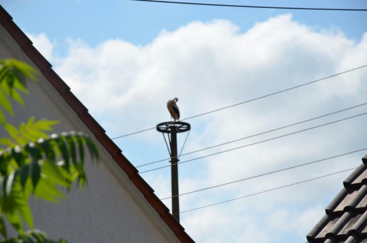 Storchennest An Der Spree In Radinkendorf